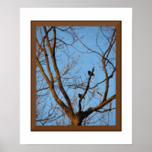 2 pájaros encaramados en fotografía de la bella ar poster