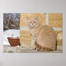 2 POSTERS