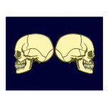2 Schädel Totenköpfe skulls Postkarten