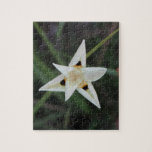 30 de abril rompecabezas de la flor del jardín