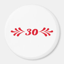 30 MAGNETS