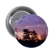 31 de enero de 2010 pin