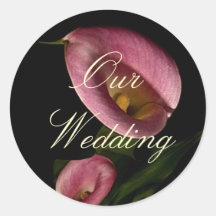 322-1234971741P9gZ, nuestro boda Pegatinas Redondas