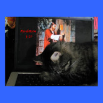 3:20 de la revelación con el gato de rogación posters