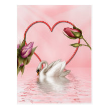 3 color de rosa elegantes postales