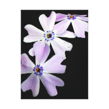 3 flores púrpuras impresiones en lona