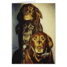 "3 Labradors " Felicitación