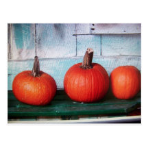 3 pequeñas calabazas tarjetas postales