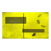 3d fx foto effect visitenkarten vorlage