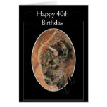 40.o bisonte feliz divertido del cumpleaños, anima felicitaciones