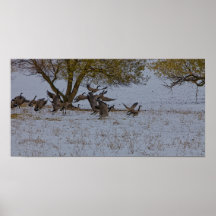412 GANSOS QUE TOMAN el VUELO (10X20) Posters