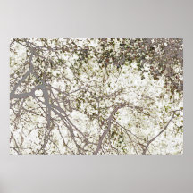 43 POSTER