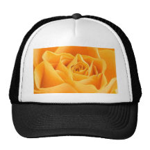 4 color de rosa gorros  
