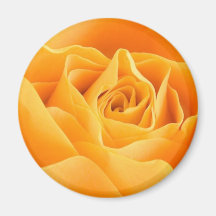 4 color de rosa imán de frigorifico
