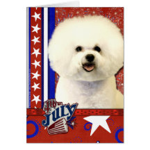 4 de julio petardo - Bichon Frise Tarjetón