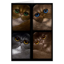 4 GATOS PERSAS CUALQUIE tarjeta de la OCASIÓN