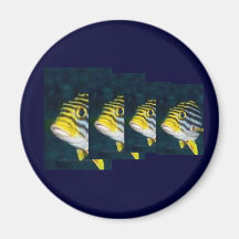 4 pescados imanes de nevera