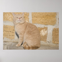 4 POSTER