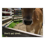 50.a tarjeta de cumpleaños de las vacas