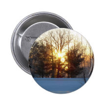 5 de enero de 2010 pins