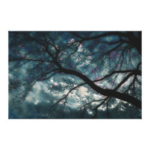 60" x 40" árbol cambiante lona estirada galerías