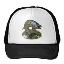 6 almizclados gorros bordados