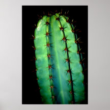 74 POSTER