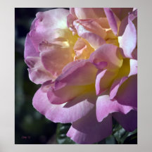 #7 color de rosa impresiones