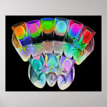 9 vasos de medida coloreados del cóctel - estilo 4 posters