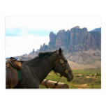 A caballo postal