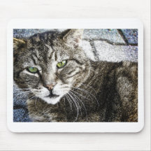 a cat mousepads
