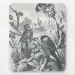 A.E. Brehm - Goldfinches Tapetes De Raton