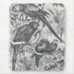 A.E. Brehm - Macaws Alfombrilla De Raton