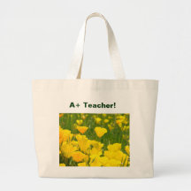 A+ El profesor empaqueta amapolas del naranja de l Bolsa