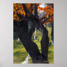 A través de los árboles posters