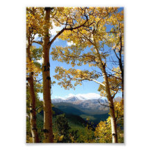 A través del Aspen Arte Con Fotos