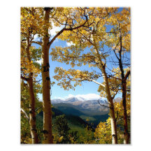 A través del Aspen Fotografias