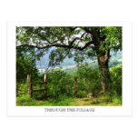 A través del follaje tarjetas postales