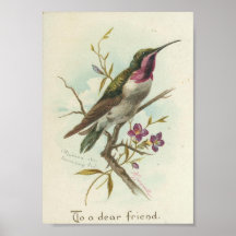 A un estimado amigo, colibrí del vintage poster
