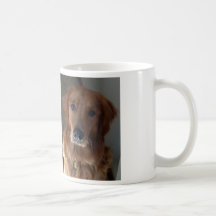 A veces un saysit de la mirada todo taza de café