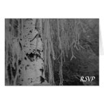 Abedul que llora del invierno que casa RSVP B&W Tarjeton