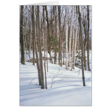 Abedules de la nieve tarjeta