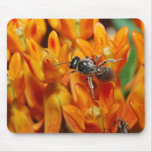 abeja butterflyweed alfombrillas de raton