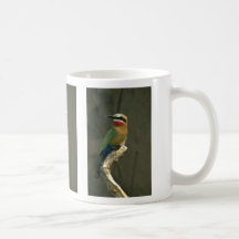Abeja-Comedor de pecho blanco Tazas De Café