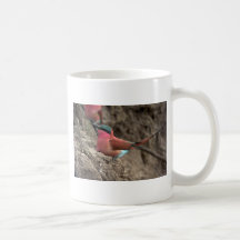 Abeja-Comedor del carmín Tazas