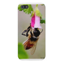 Abeja con la flor rosada iPhone 5 cárcasas