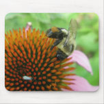 Abeja de carpintero del este y serie de Coneflower Alfombrillas De Raton