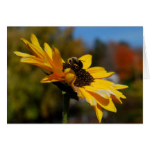 Abeja de la margarita (notecard en blanco) felicitacion 