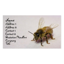abeja de la miel plantilla de tarjeta personal