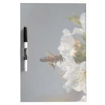 Abeja de la miel tableros blancos